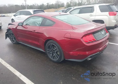 2019 Ford Mustang Ecoboost z USA, uszkodzony, nr VIN 1FA6P8TH1K5177948
